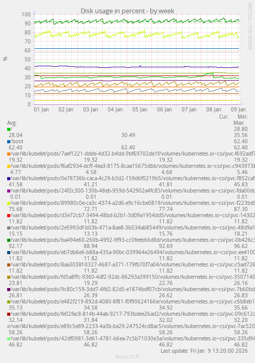 Disk usage in percent